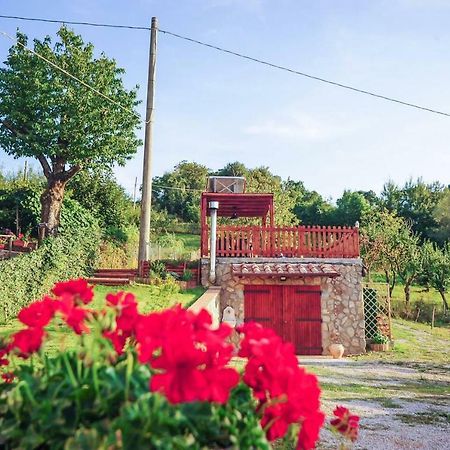 דירות ארצ'ידוסו La Finestra Sul Castello מראה חיצוני תמונה